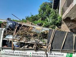 Best Recycling Services for Junk  in Reidland, KY